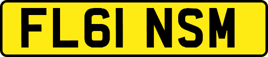 FL61NSM