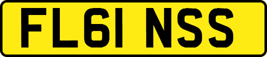 FL61NSS