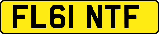 FL61NTF