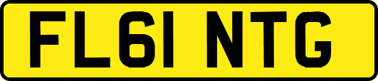 FL61NTG