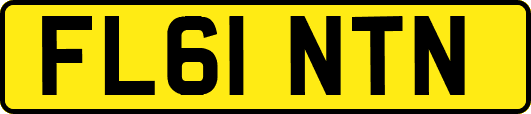 FL61NTN