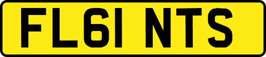 FL61NTS