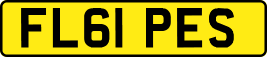 FL61PES