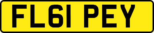 FL61PEY