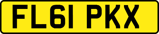 FL61PKX