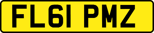 FL61PMZ