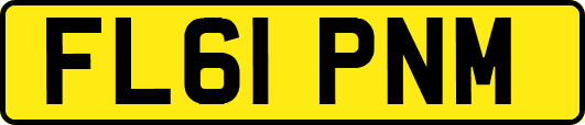 FL61PNM