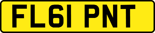 FL61PNT