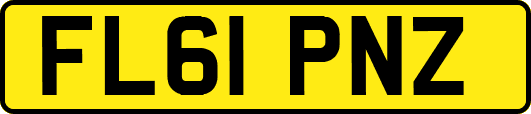 FL61PNZ