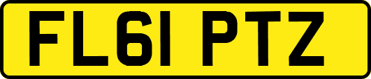 FL61PTZ