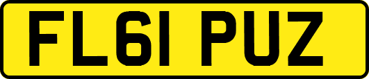 FL61PUZ