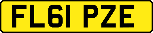 FL61PZE