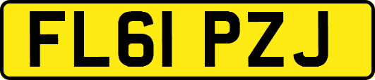 FL61PZJ
