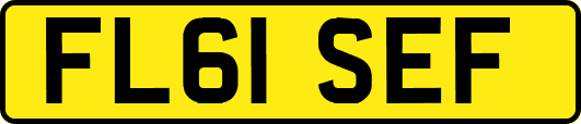 FL61SEF