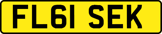 FL61SEK