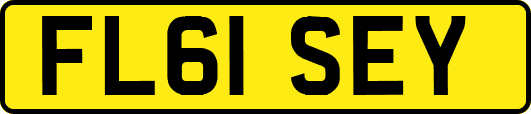FL61SEY
