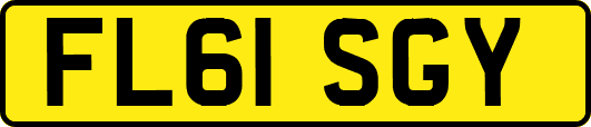 FL61SGY