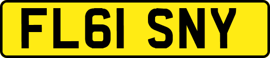 FL61SNY