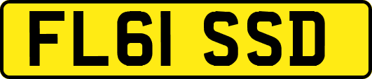 FL61SSD