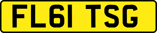 FL61TSG