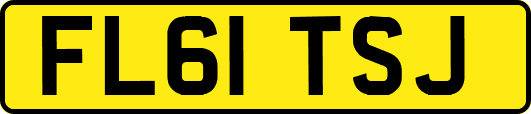 FL61TSJ