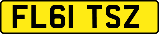 FL61TSZ