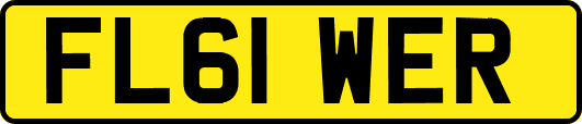 FL61WER