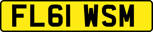 FL61WSM