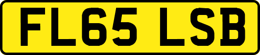 FL65LSB