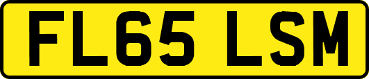 FL65LSM