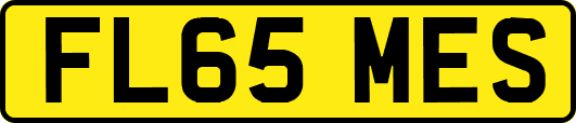 FL65MES