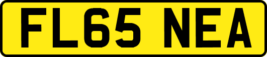 FL65NEA