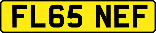 FL65NEF