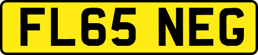 FL65NEG