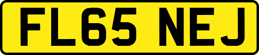 FL65NEJ