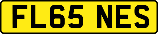 FL65NES