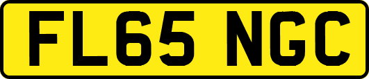 FL65NGC