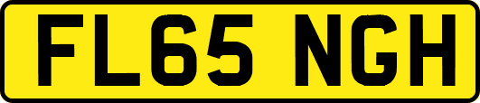 FL65NGH