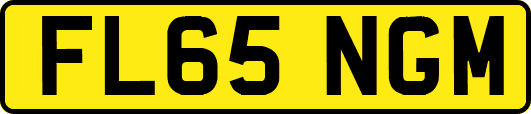 FL65NGM