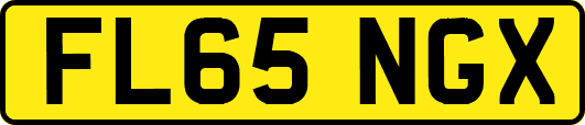 FL65NGX