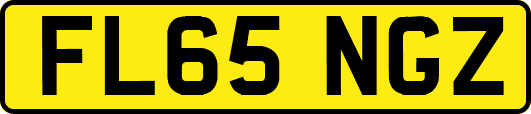 FL65NGZ