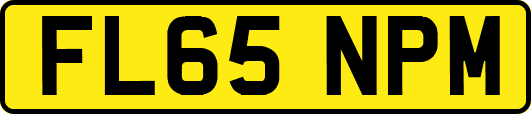 FL65NPM
