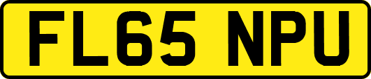 FL65NPU