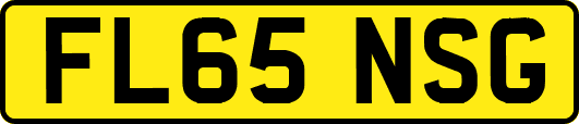FL65NSG
