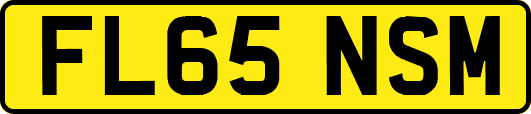 FL65NSM