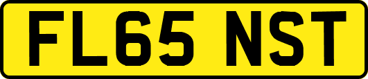 FL65NST