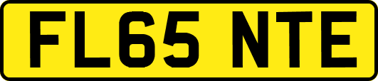 FL65NTE