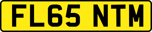 FL65NTM