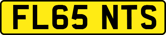FL65NTS