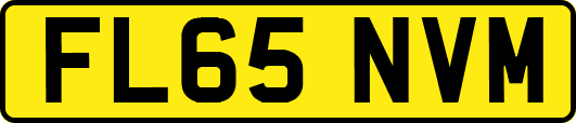 FL65NVM